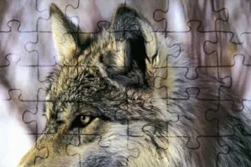 . jigsaw puzzle