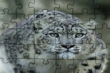 . jigsaw puzzle