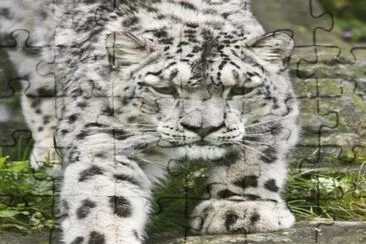 . jigsaw puzzle