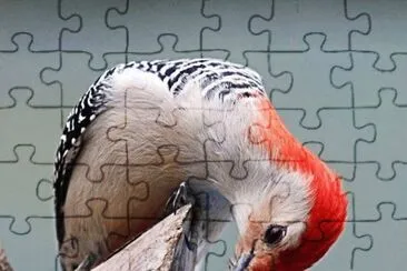 . jigsaw puzzle