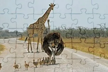 - ema jigsaw puzzle