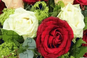 ROSAS