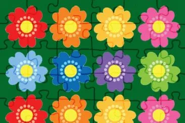Flores