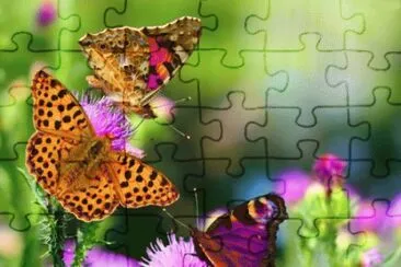 may13 jigsaw puzzle