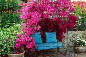 Romantic Pink