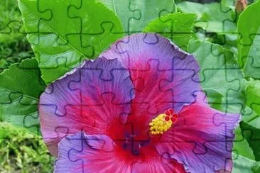 Electric Blue jigsaw puzzle
