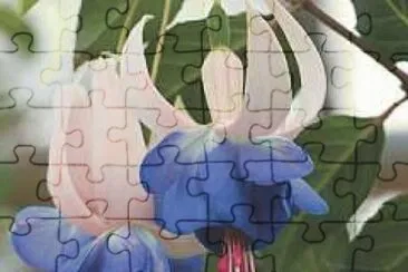 fuchsia jigsaw puzzle