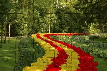 Color Tulips jigsaw puzzle