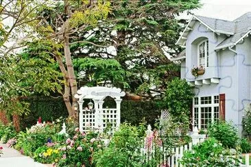 Frond-Yard Garden jigsaw puzzle