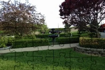 My backyard jigsaw puzzle