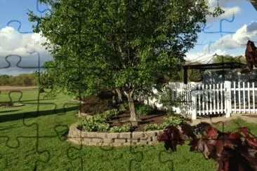 My back yard jigsaw puzzle