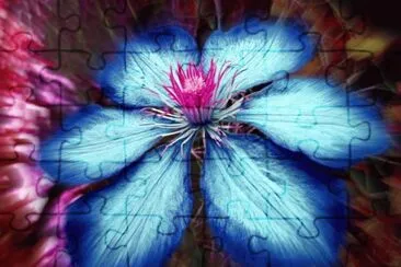 fleurs jigsaw puzzle