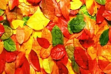 autumn 44 jigsaw puzzle