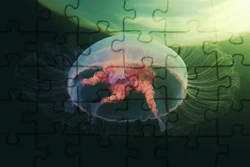 - bom,(17) jigsaw puzzle