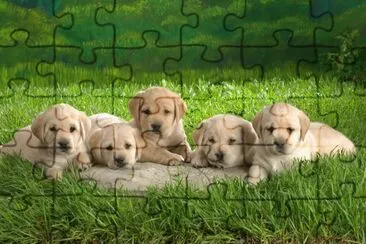 Golden jigsaw puzzle