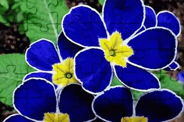 Propellers polyanthus jigsaw puzzle