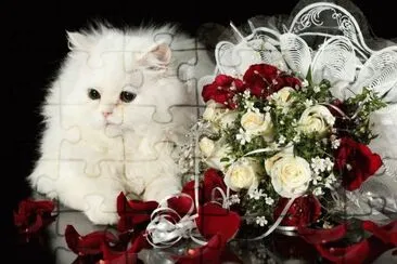 chaton jigsaw puzzle