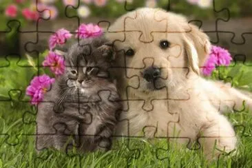 chiot et chaton jigsaw puzzle