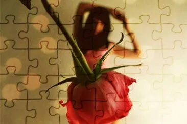 Super picture jigsaw puzzle