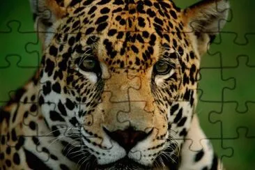 g jigsaw puzzle