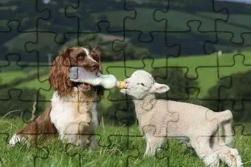 - amizade Ã© assim jigsaw puzzle