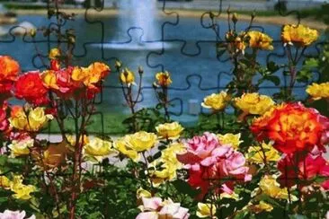 - rosas jigsaw puzzle