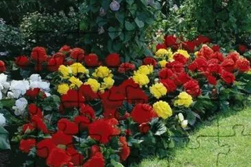 - flores jigsaw puzzle