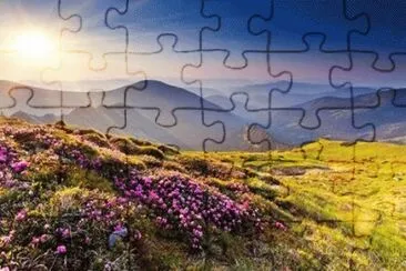 - beleza!. jigsaw puzzle