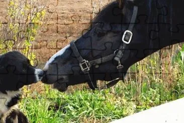 - cavalo jigsaw puzzle
