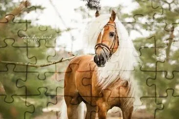 - cavalo.. jigsaw puzzle