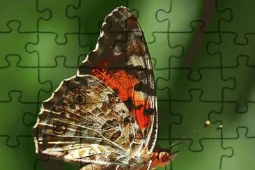 24 jigsaw puzzle