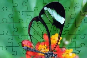 22 jigsaw puzzle