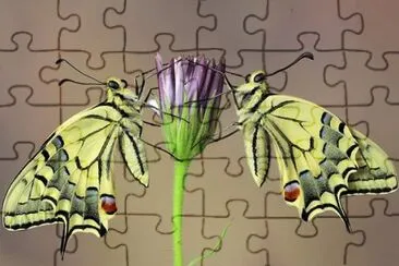 19 jigsaw puzzle