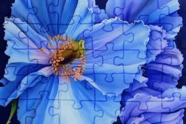 Blue Hibiscus