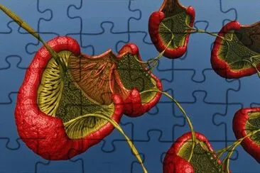 Strange Fruit jigsaw puzzle