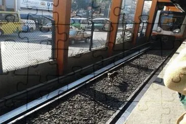 Sucedio en el metro