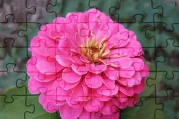  jigsaw puzzle