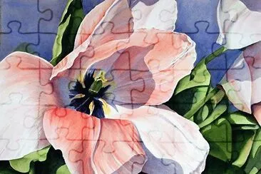 White Watercolor