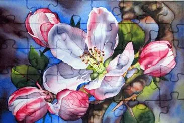Color Bloom