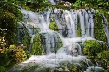 15 jigsaw puzzle