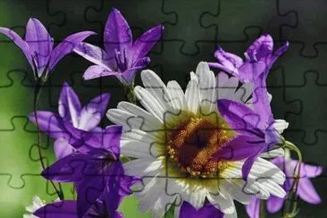 פאזל של flores