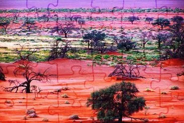 COLORES EN LA LLANURA jigsaw puzzle