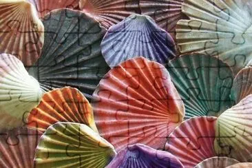 Colored Shells