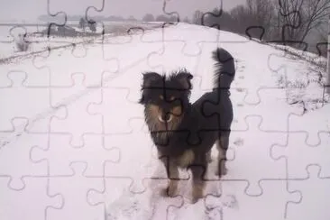  jigsaw puzzle