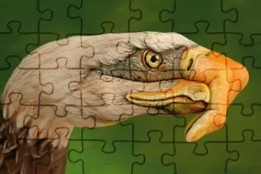 MANO AGUILA