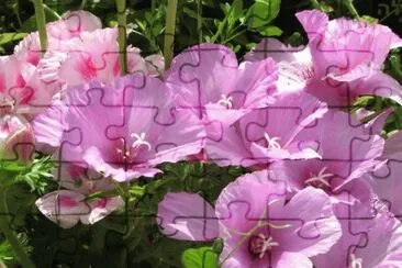 godÃ©tias jigsaw puzzle