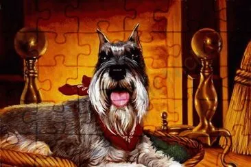 cÃ£o