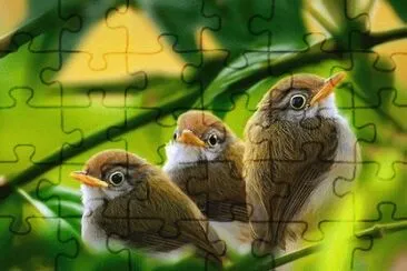 The three Musketeers jigsaw puzzle