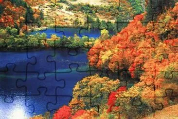 7 jigsaw puzzle