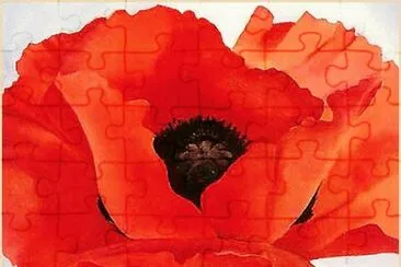 Red Poppy jigsaw puzzle